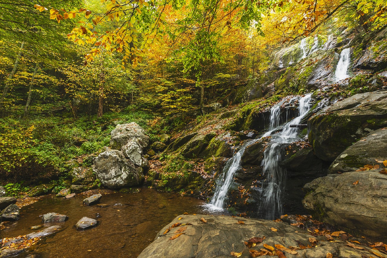 The Best Fall Getaways in Virginia