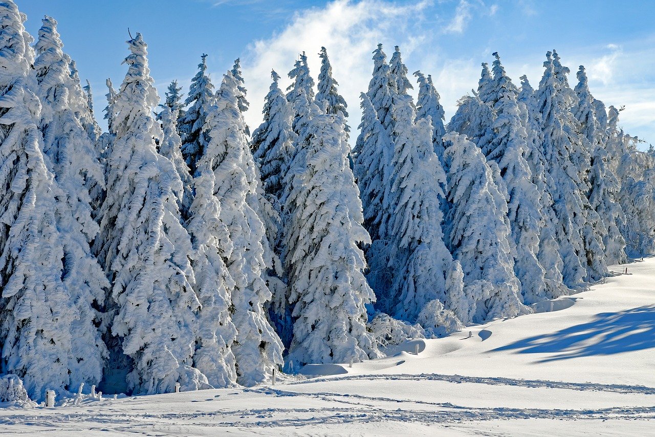 The Best Winter Getaways in Virginia